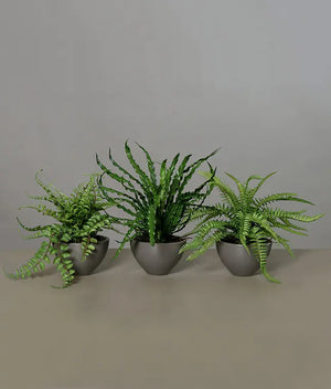 Künstliches Farnarrangement - Melik | 60 cm | 3 Stück im grauer Schale - Kunstpflanzen von aplanta