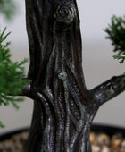 Künstlicher Zedern-Bonsai - Roy | 44 cm | in schwarzer Schale - Kunstpflanzen von aplanta