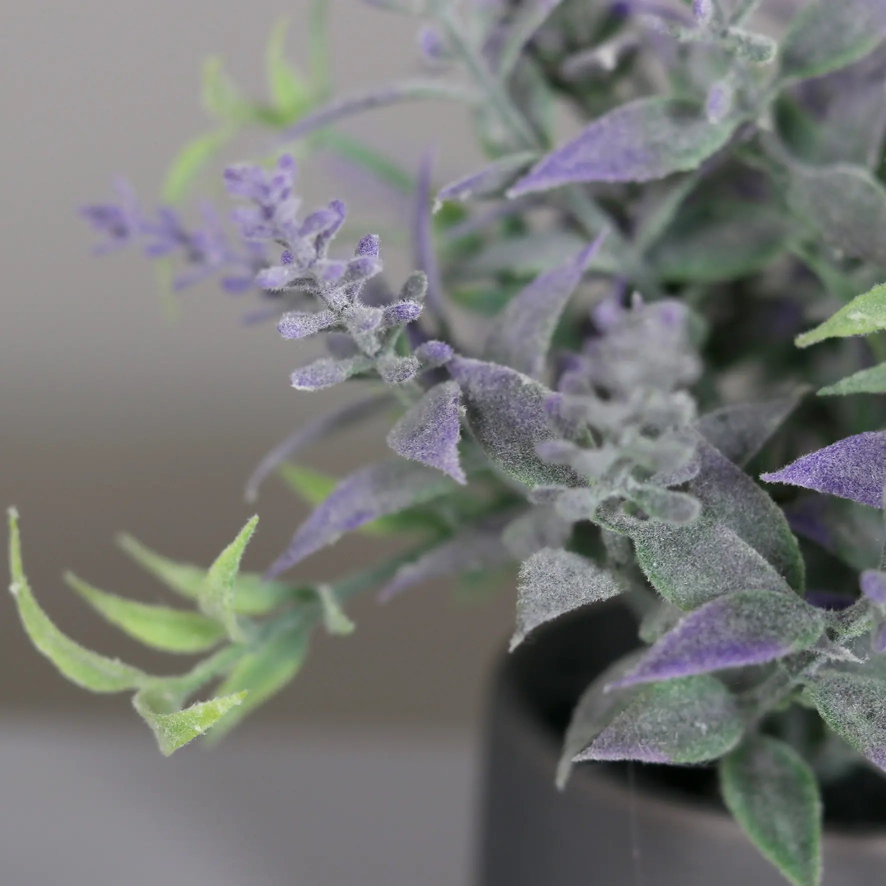 Künstlicher Lavendel - Alluka | 13 cm | im grauen Keramiktopf - Kunstpflanzen von aplanta