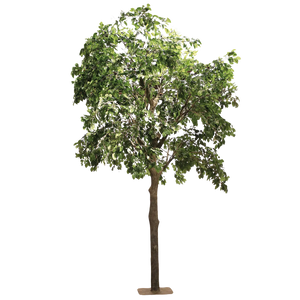Künstlicher Ficus - Nuri | 400 cm