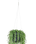 Künstliches Greiskraut - Karina | 12 cm auf transparentem Hintergrund, als Ausschnitt fotografiert, damit die Details der Kunstpflanze bzw. des Kunstbaums noch deutlicher zu erkennen sind.