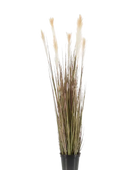Hochwertiges Pampasgras künstlich auf transparentem Hintergrund mit echt wirkenden Kunstblättern in natürlicher Anordnung. Künstliches Pampasgras - Franziska hat die Farbe Natur und ist 120 cm hoch. | aplanta Kunstpflanzen