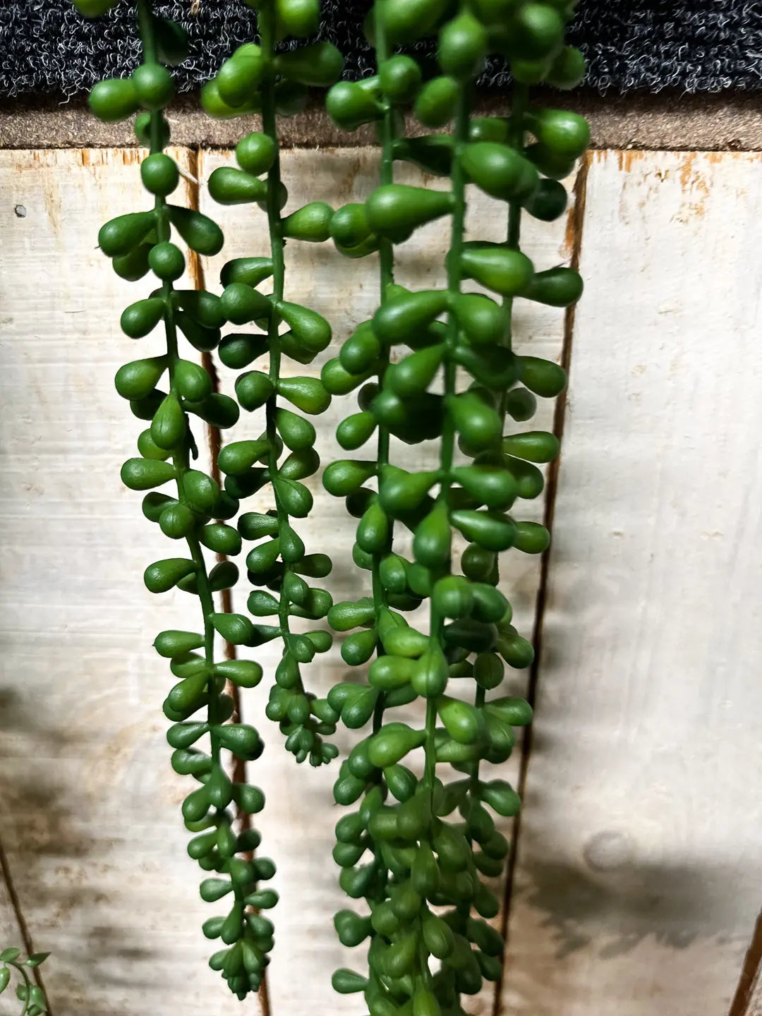Künstliche Erbsenpflanze - Tristan | 90 cm | Kunstpflanze von aplanta