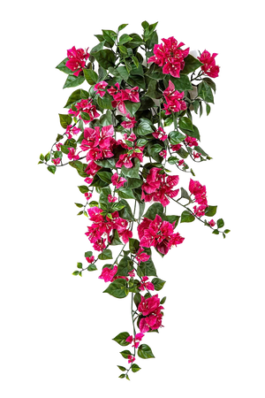 Hochwertige Kunstpflanze | Künstliche Bougainville - Erna | 100 cm von 🌱aplanta