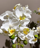 Künstliche Orchidee - Grace | 60 cm | Kunstblume von aplanta