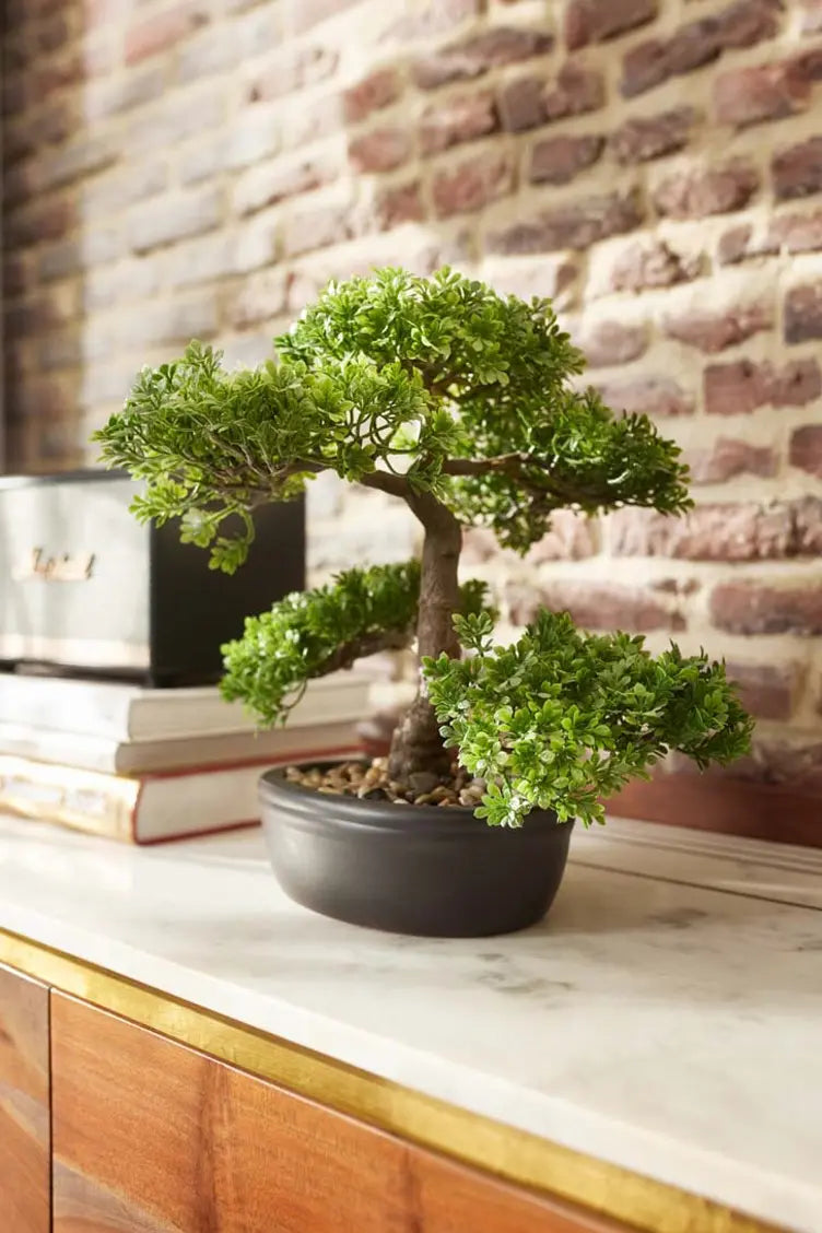 Sztuczny figowiec bonsai - Yui | 32 cm
