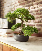 Sztuczny figowiec bonsai - Yui | 32 cm