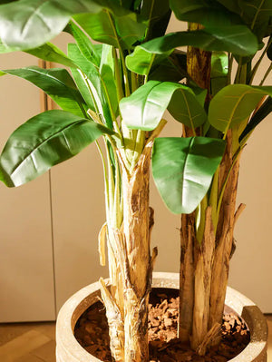 Sztuczne drzewo bananowe - puszka | 140 cm