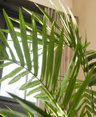 Sztuczna palma Areca - Isaiah | 270 cm