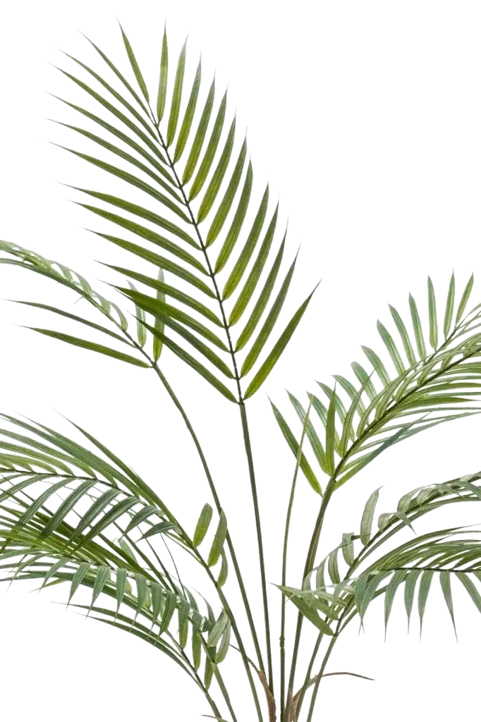 Sztuczna palma górska - Nadine | 180 cm