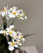 Künstliche Orchidee - Pansy | 45 cm, im Topf | Kunstblume von aplanta