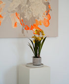 Sztuczna orchidea - Lilli | 45 cm