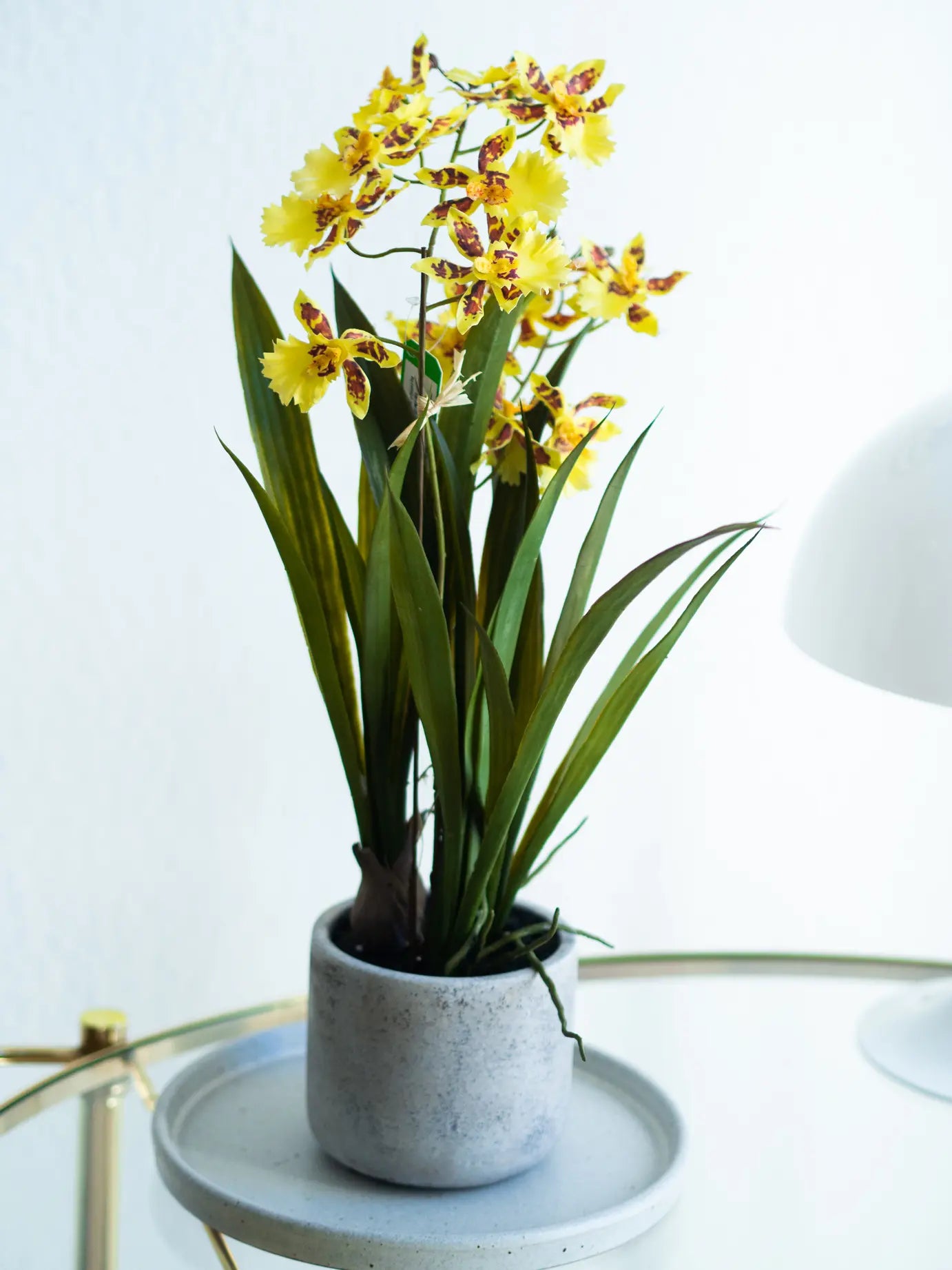Sztuczna orchidea - Lilli | 45 cm