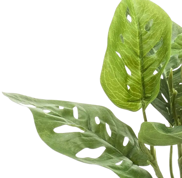 Künstlicher Monstera Busch - Lotte | 26 cm auf transparentem Hintergrund, als Ausschnitt fotografiert, damit die Details der Kunstpflanze bzw. des Kunstbaums noch deutlicher zu erkennen sind.