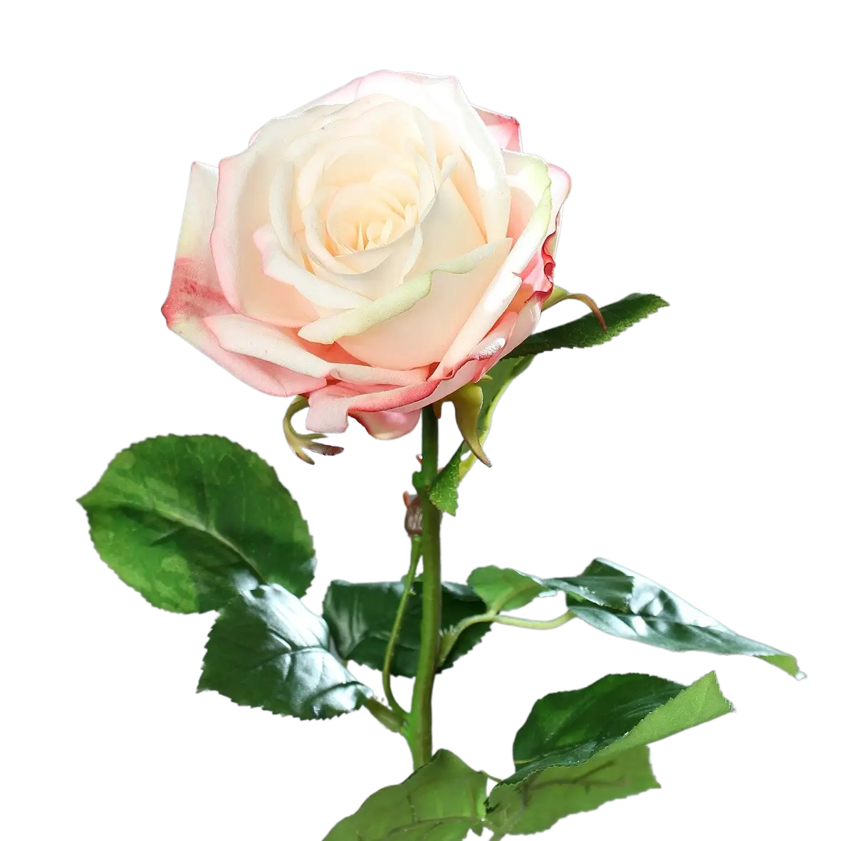 Sztuczna róża - Xenia | 66 cm