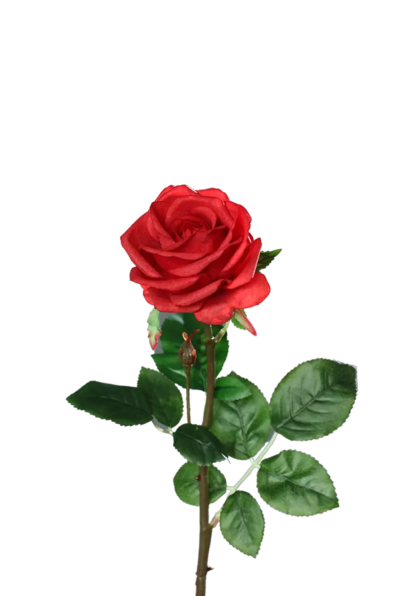 Sztuczna róża - Philipos | 66 cm