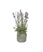 Künstlicher Lavendel - Jaceline auf transparentem Hintergrund mit echt wirkenden Kunstblättern in natürlicher Anordnung. Künstlicher Lavendel - Jaceline hat die Farbe Natur und ist 27 cm hoch. | aplanta Kunstpflanzen