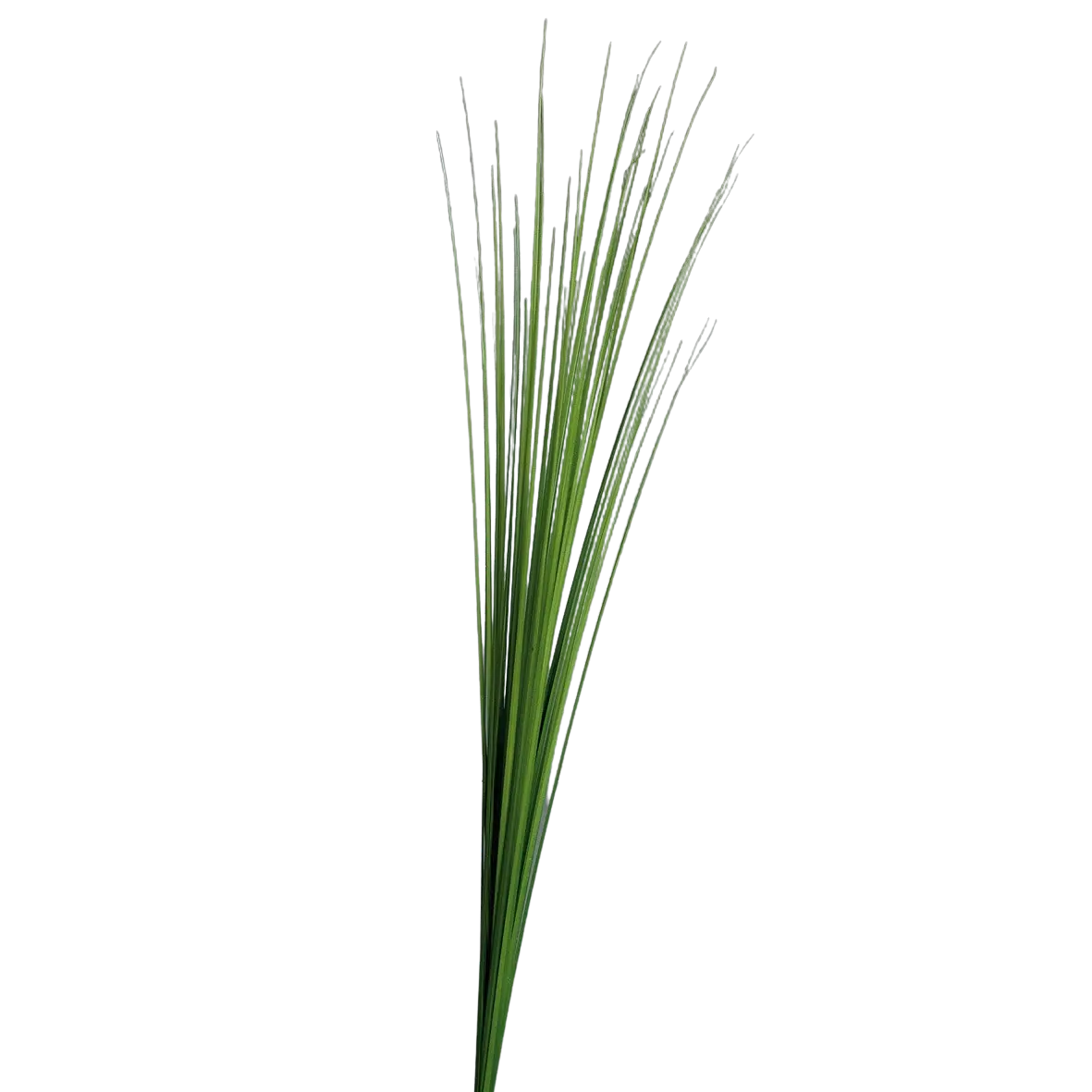 Sztuczna trawa Isolepsis - Arianna