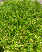 Sztuczna trawa - Olympia | 2 x 10 m, rolka