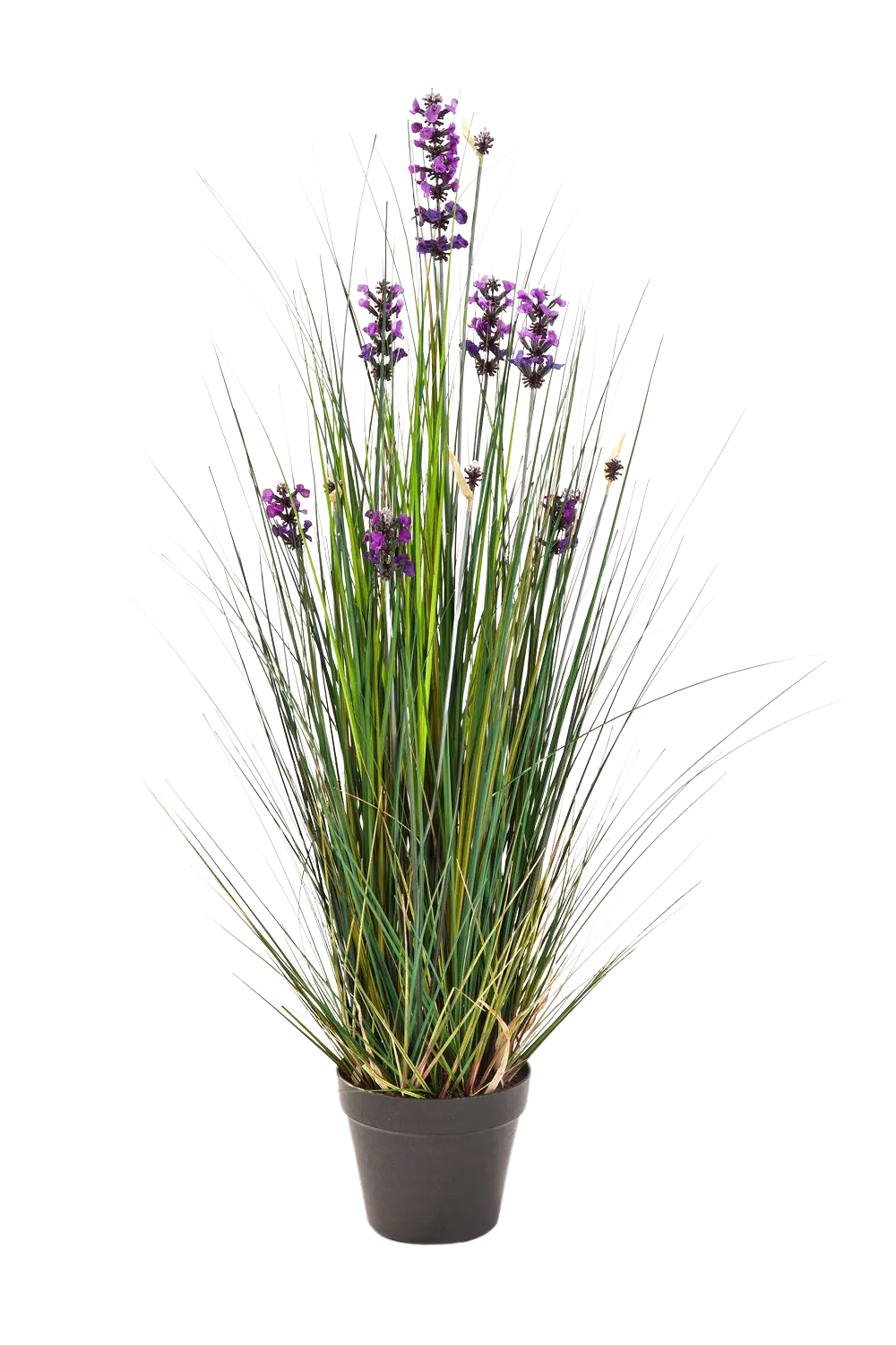 Künstlicher Lavendel - Emilie auf transparentem Hintergrund mit echt wirkenden Kunstblättern in natürlicher Anordnung. Künstlicher Lavendel - Emilie hat die Farbe Natur und ist 90 cm hoch. | aplanta Kunstpflanzen