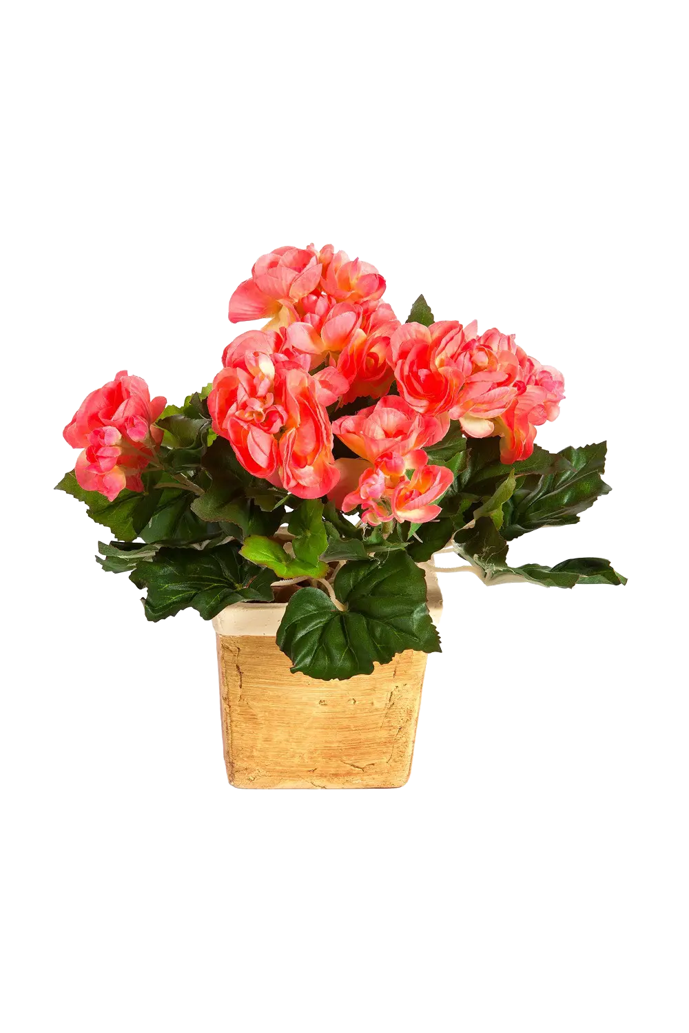 Sztuczna begonia - roślina wtykowa - Tom | 20 cm