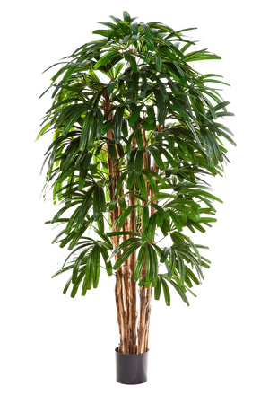 Sztuczna palma - Nicole | 150 cm