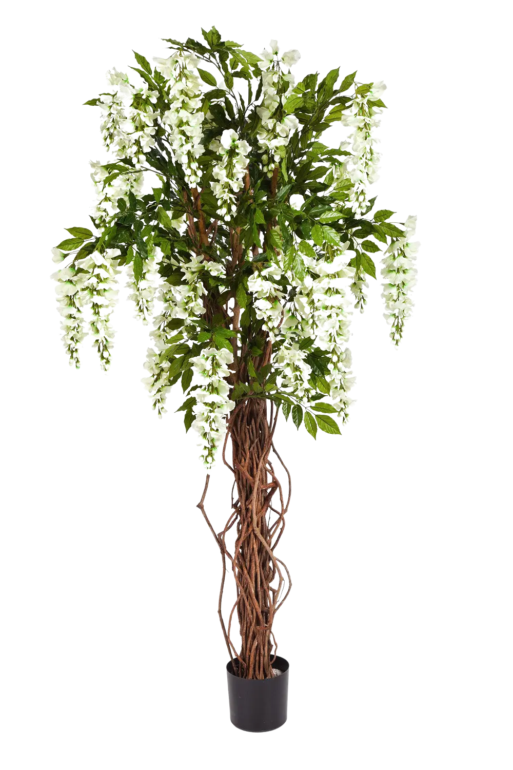 Künstlicher Blauregen - Ria auf transparentem Hintergrund mit echt wirkenden Kunstblättern. Diese Kunstpflanze gehört zur Gattung/Familie der "Blauregen" bzw. "Kunst-Blauregen".