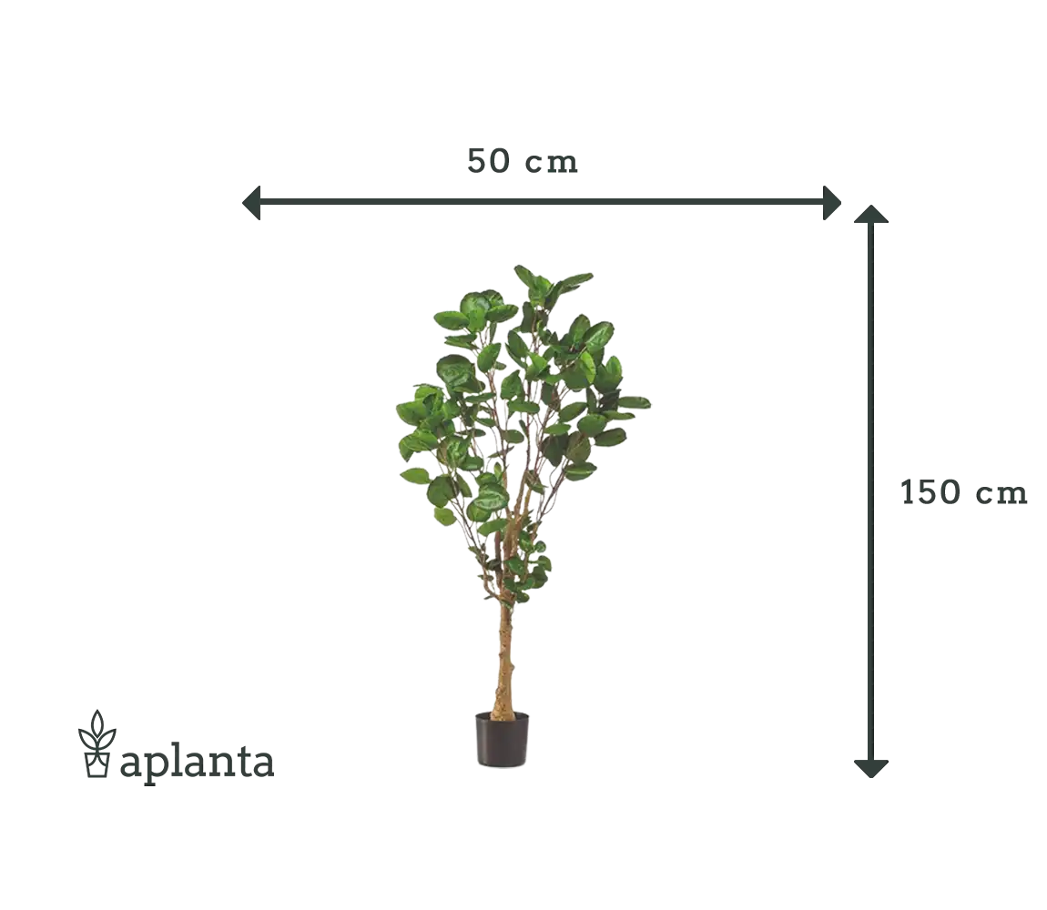 Sztuczna aralia pierzasta - Mediolan | 150 cm