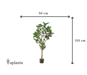 Sztuczna aralia pierzasta - Mediolan | 150 cm