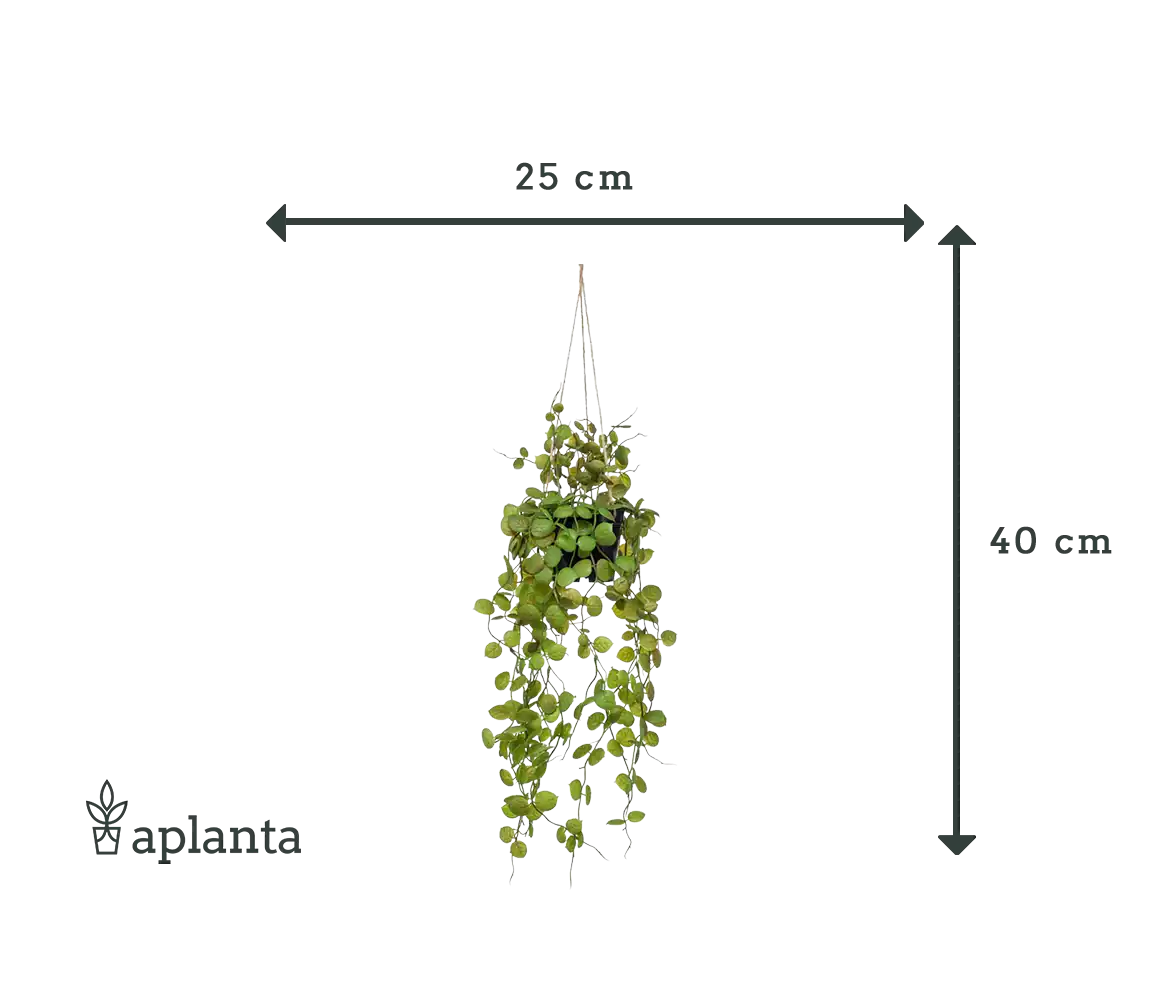 Sztuczny wiszący żyrandol kwiatowy - Konrad | 40 cm