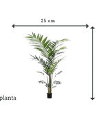 Sztuczna palma Kentia - Nathalie | 210 cm