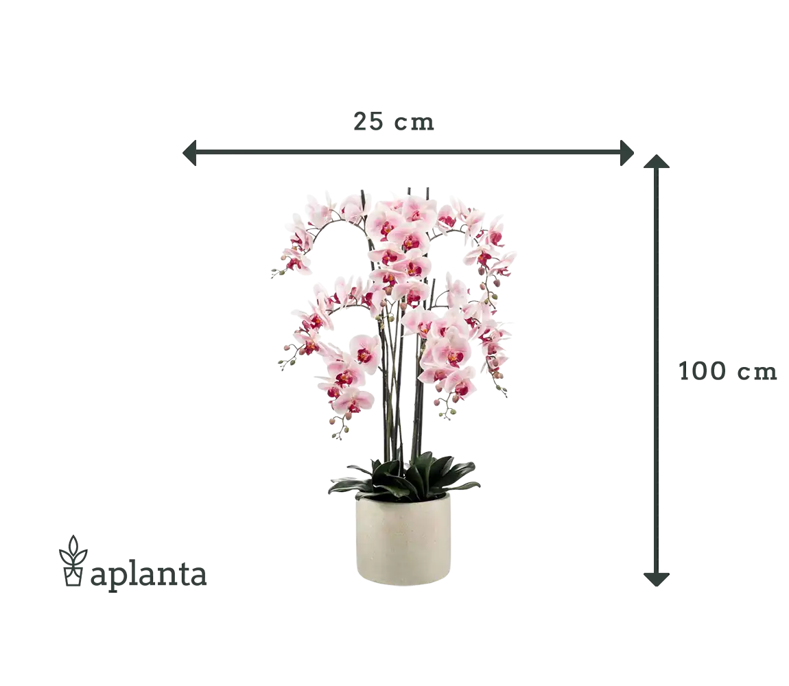 Sztuczna orchidea - Leo | 100 cm