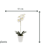 Sztuczna orchidea - Linus | 55 cm