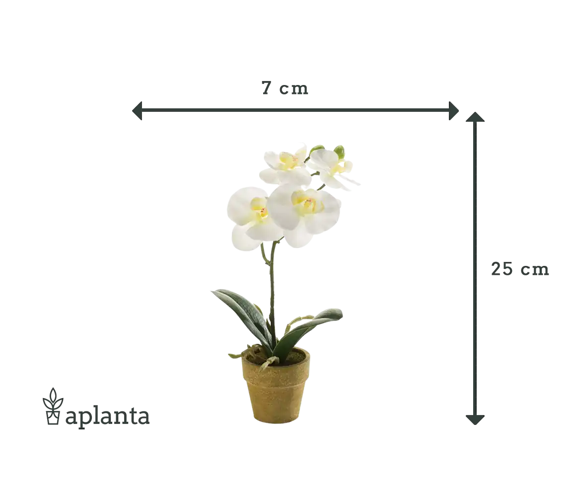 Sztuczna orchidea - Louisa | 25 cm