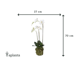 Sztuczna orchidea - Marie | 70 cm