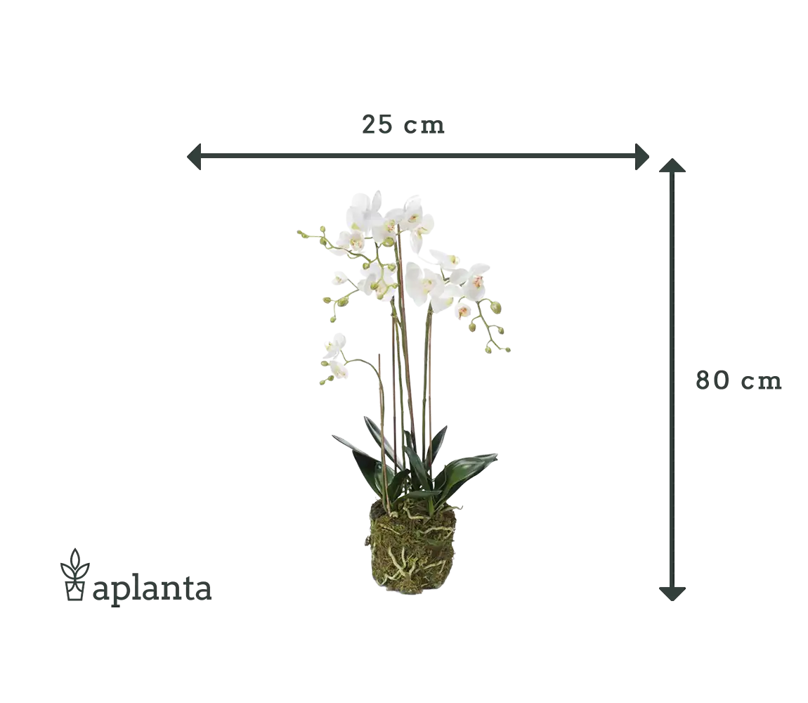 Sztuczna orchidea - Marie | 80 cm