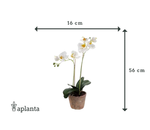 Sztuczna orchidea - Nika | 56 cm