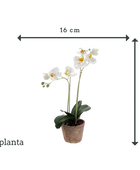 Sztuczna orchidea - Nika | 56 cm