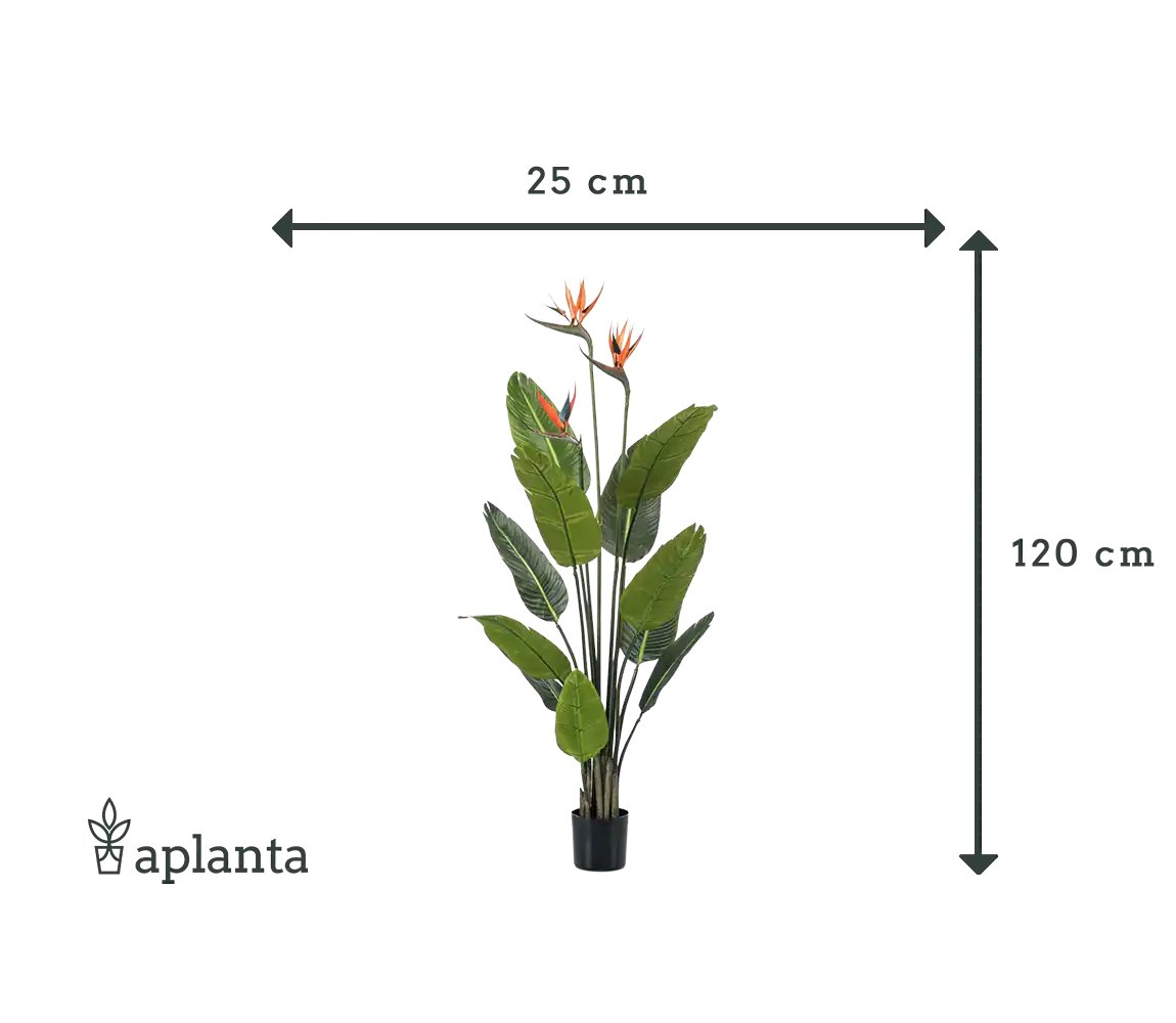 Künstliche Strelitzia - Constantin | 120 cm