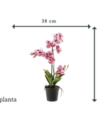 Sztuczna orchidea - Liam | 60 cm