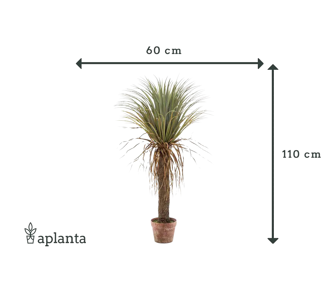 Sztuczna palma juki - Kristina | 110 cm