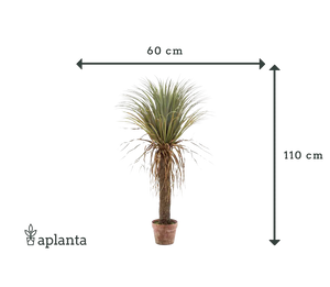 Sztuczna palma juki - Kristina | 110 cm