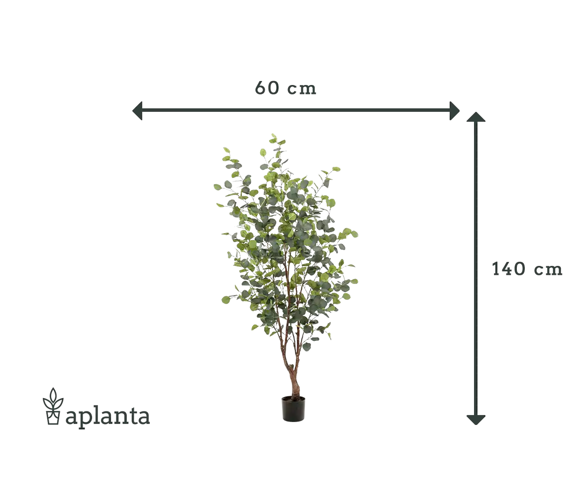 Sztuczne drzewo eukaliptusowe - Christopher | 140 cm
