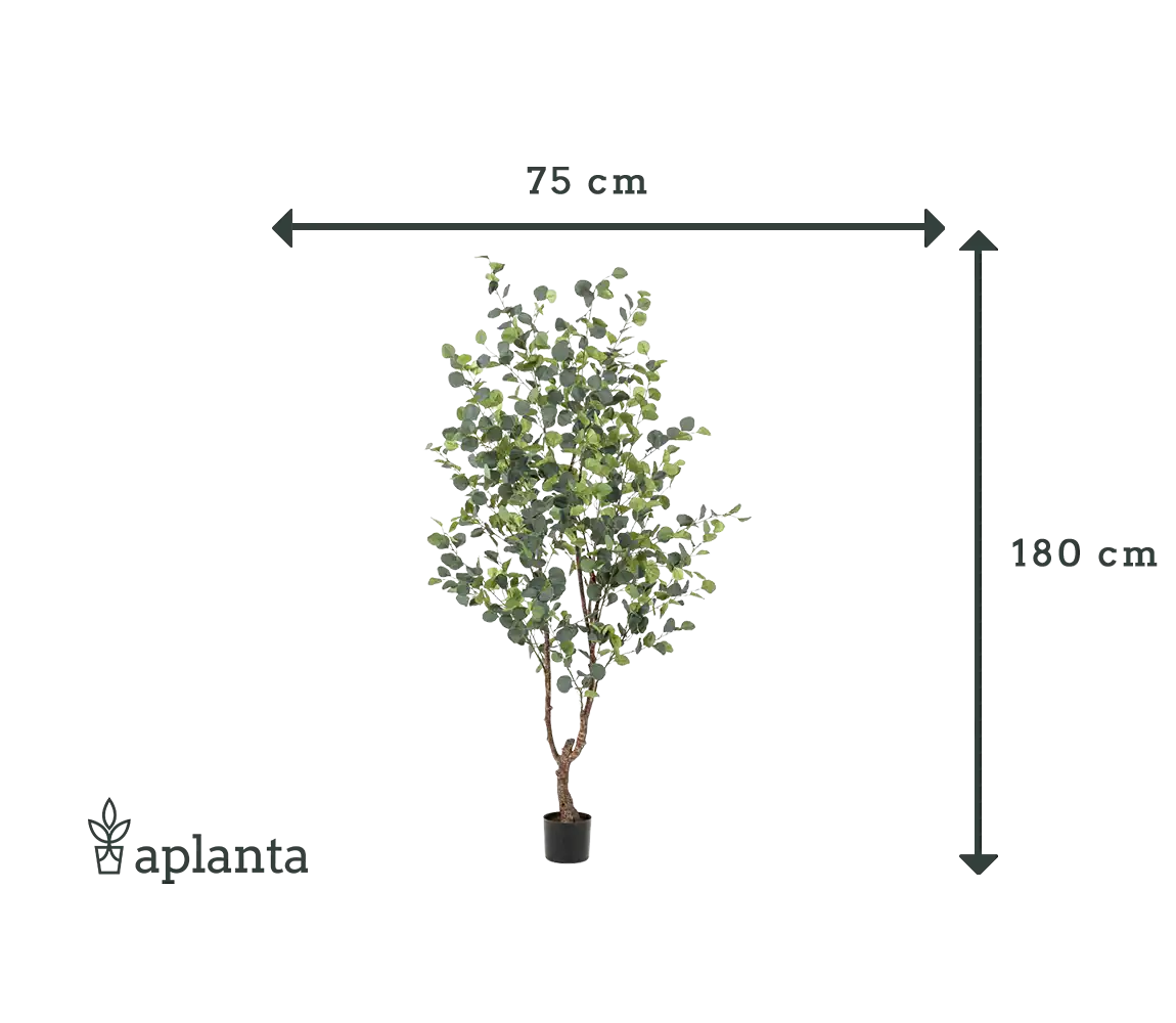 Künstlicher Eucalyptus Baum - Christopher | 180 cm