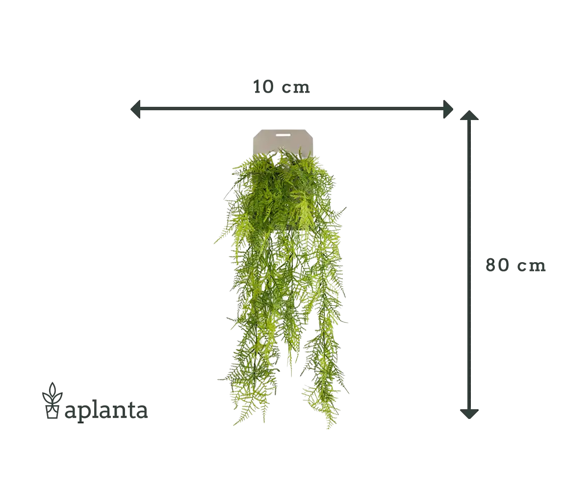 Sztuczne wiszące szparagi z piór - Luke | 80 cm