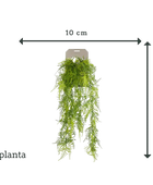 Sztuczne wiszące szparagi z piór - Luke | 80 cm