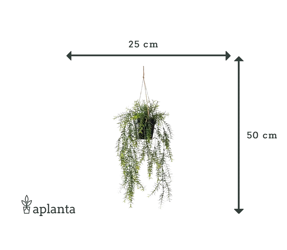 Sztuczne wiszące szparagi ozdobne - Kilian | 50 cm