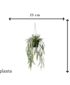 Sztuczne wiszące szparagi ozdobne - Kilian | 50 cm