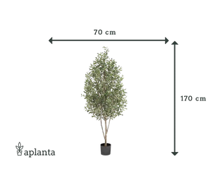 Sztuczne drzewko oliwne - Cheyenne | 170 cm