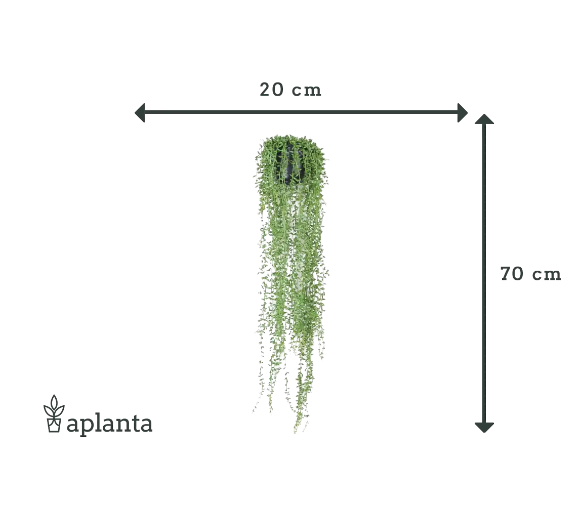 Sztuczna roślina grochu - Karina | 70 cm